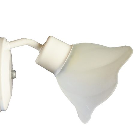 Aplique Rustico fijo 1 luces vidrio flor